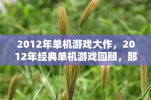 2012年单机游戏大作,2012年经典单机游戏回顾,那些不可错过的游戏佳作 2012年单机游戏大作,2012年经典单机游戏回顾,那些不可错过的游戏佳作
