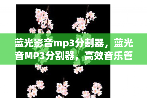 蓝光影音mp3分割器,蓝光音MP3分割器,高效音乐管理的必备工具 蓝光影音mp3分割器,蓝光音MP3分割器,高效音乐管理的必备工具