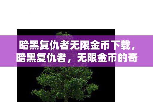 暗黑复仇者无限金币下载，暗黑复仇者，无限金币的奇幻之旅