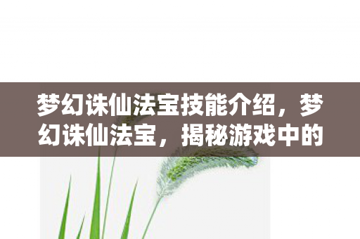 梦幻诛仙法宝技能介绍,梦幻诛仙法宝,揭秘游戏中的神秘力量 梦幻诛仙法宝技能介绍,梦幻诛仙法宝,揭秘游戏中的神秘力量