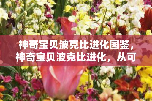 神奇宝贝波克比进化图鉴，神奇宝贝波克比进化，从可爱小精灵到强大宝可梦的成长之旅