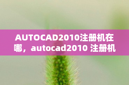 AUTOCAD2010注册机在哪，autocad2010 注册机，合法激活的必备工具