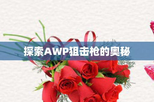 探索AWP狙击枪的奥秘