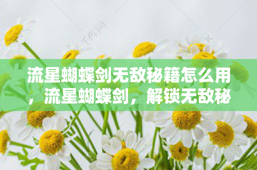 流星蝴蝶剑无敌秘籍怎么用,流星蝴蝶剑,解锁无敌秘籍的终极指南 流星蝴蝶剑无敌秘籍怎么用,流星蝴蝶剑,解锁无敌秘籍的终极指南