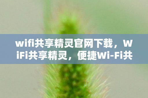 wifi共享精灵官网下载，WiFi共享精灵，便捷Wi-Fi共享，打造智能生活新体验