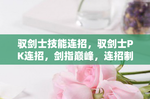 驭剑士技能连招，驭剑士PK连招，剑指巅峰，连招制胜