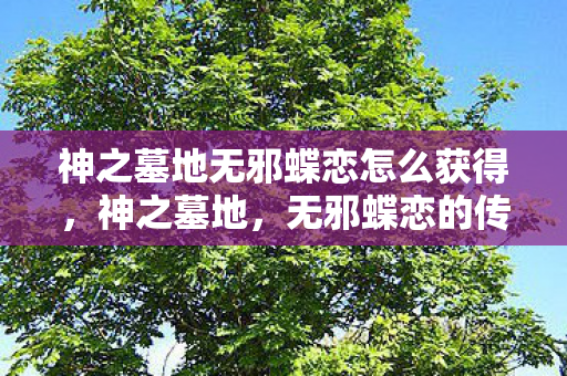 神之墓地无邪蝶恋怎么获得，神之墓地，无邪蝶恋的传奇之旅