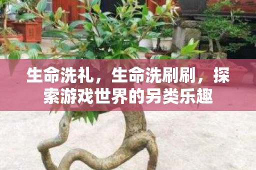 生命洗礼，生命洗刷刷，探索游戏世界的另类乐趣