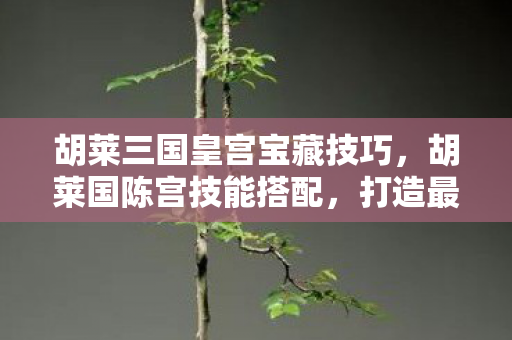 胡莱三国皇宫宝藏技巧，胡莱国陈宫技能搭配，打造最强策略师的战斗组合