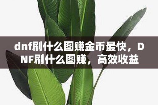 dnf刷什么图赚金币最快，DNF刷什么图赚，高效收益攻略