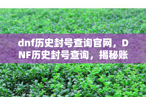 dnf历史封号查询官网,DNF历史封号查询,揭秘账号封禁背后的故事 dnf历史封号查询官网,DNF历史封号查询,揭秘账号封禁背后的故事