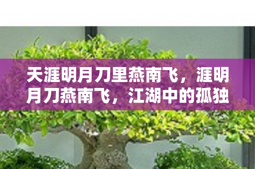 天涯明月刀里燕南飞,涯明月刀燕南飞,江湖中的孤独剑客 天涯明月刀里燕南飞,涯明月刀燕南飞,江湖中的孤独剑客
