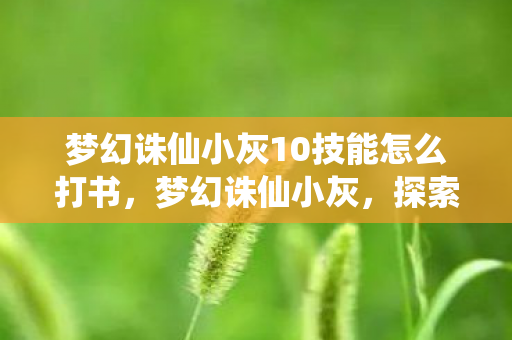梦幻诛仙小灰10技能怎么打书，梦幻诛仙小灰，探索游戏世界的奇妙之旅