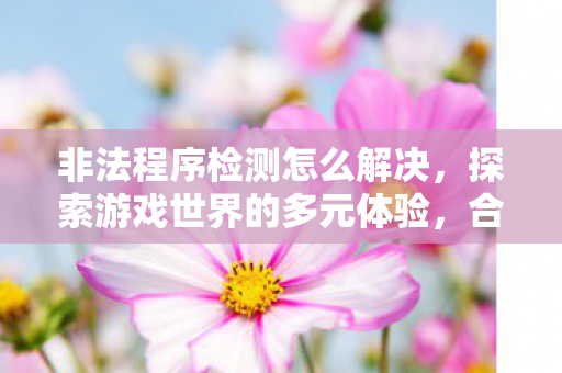 非法程序检测怎么解决，探索游戏世界的多元体验，合法视角下的游戏服务器选择