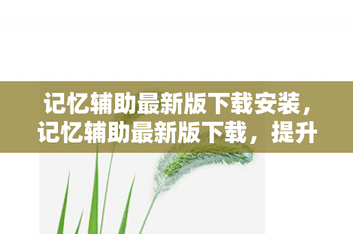 记忆辅助最新版下载安装,记忆辅助最新版下载,提升效率,优化游戏体验 记忆辅助最新版下载安装,记忆辅助最新版下载,提升效率,优化游戏体验