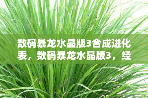 数码暴龙水晶版3合成进化表，数码暴龙水晶版3，经典再现，情怀与创新的完美融合