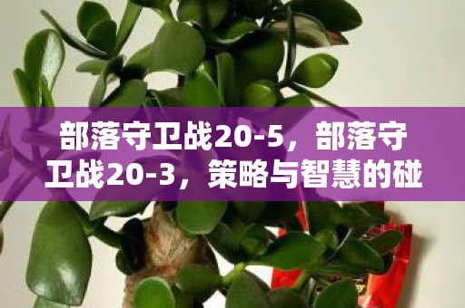 部落守卫战20-5,部落守卫战20-3,策略与智慧的碰撞 部落守卫战20-5,部落守卫战20-3,策略与智慧的碰撞