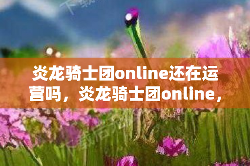炎龙骑士团online还在运营吗，炎龙骑士团online，重温经典，探索未知