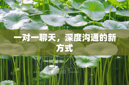 一对一聊天，深度沟通的新方式