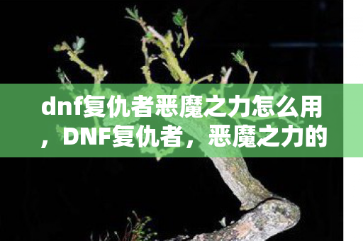 dnf复仇者恶魔之力怎么用,DNF复仇者,恶魔之力的奥秘 dnf复仇者恶魔之力怎么用,DNF复仇者,恶魔之力的奥秘