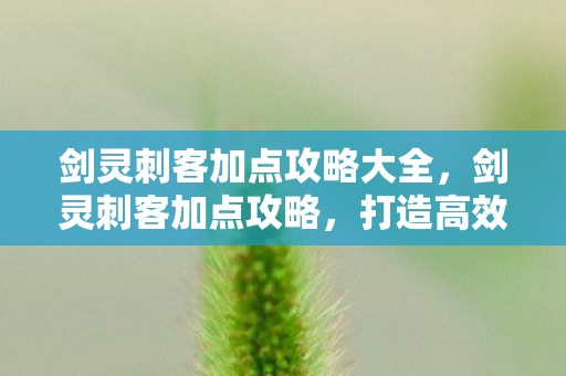 剑灵刺客加点攻略大全，剑灵刺客加点攻略，打造高效战斗力的关键