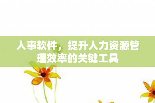 人事软件，提升人力资源管理效率的关键工具