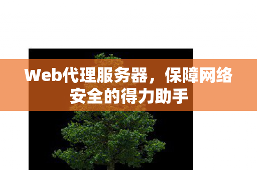 Web代理服务器，保障网络安全的得力助手