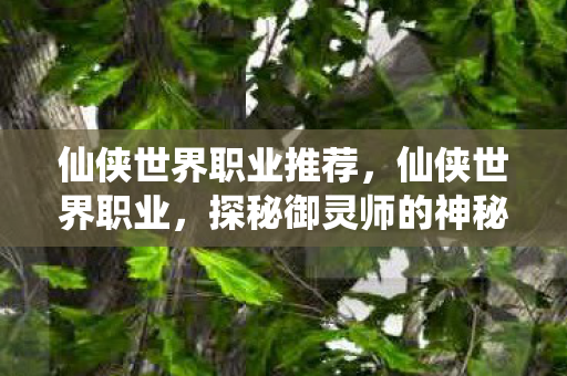 仙侠世界职业推荐,仙侠世界职业,探秘御灵师的神秘世界 仙侠世界职业推荐,仙侠世界职业,探秘御灵师的神秘世界