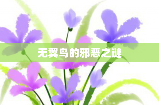 无翼鸟的邪恶之谜