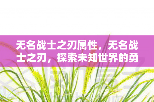 无名战士之刃属性,无名战士之刃,探索未知世界的勇气与荣耀 无名战士之刃属性,无名战士之刃,探索未知世界的勇气与荣耀