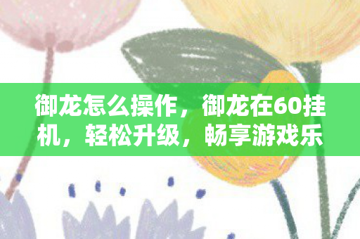 御龙怎么操作，御龙在60挂机，轻松升级，畅享游戏乐趣
