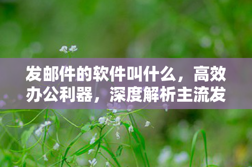 发邮件的软件叫什么，高效办公利器，深度解析主流发邮件软件