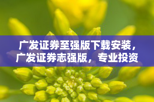 广发证券至强版下载安装,广发证券志强版,专业投资者的优选平台 广发证券至强版下载安装,广发证券志强版,专业投资者的优选平台
