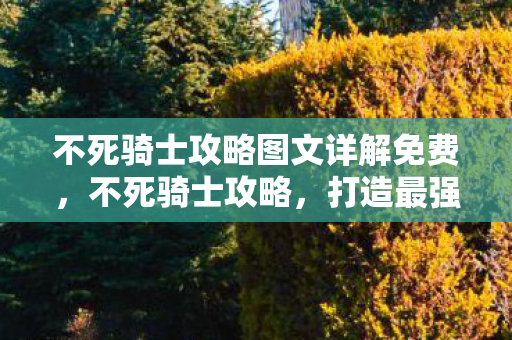 不死骑士攻略图文详解免费，不死骑士攻略，打造最强骑士的终极指南