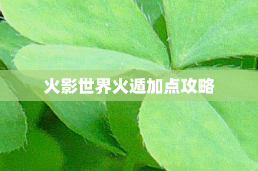 火影世界火遁加点攻略