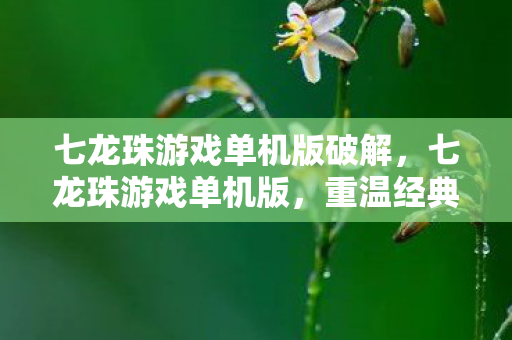 七龙珠游戏单机版破解,七龙珠游戏单机版,重温经典,尽享单机乐趣 七龙珠游戏单机版破解,七龙珠游戏单机版,重温经典,尽享单机乐趣