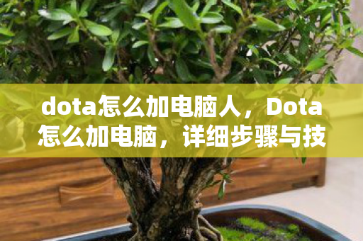 dota怎么加电脑人，Dota怎么加电脑，详细步骤与技巧