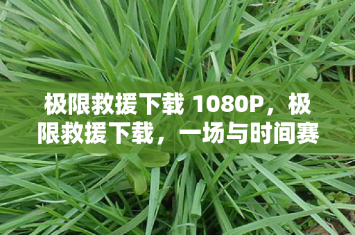 极限救援下载 1080P,极限救援下载,一场与时间赛跑的数字生存挑战 极限救援下载 1080P,极限救援下载,一场与时间赛跑的数字生存挑战