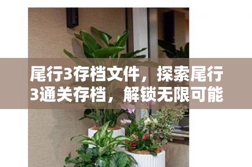 尾行3存档文件，探索尾行3通关存档，解锁无限可能的冒险之旅