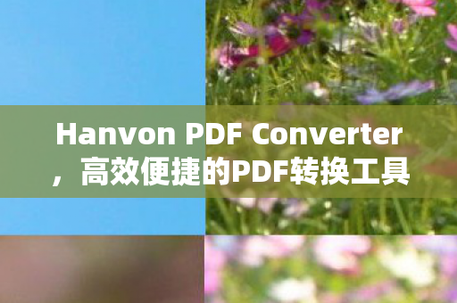 Hanvon PDF Converter，高效便捷的PDF转换工具