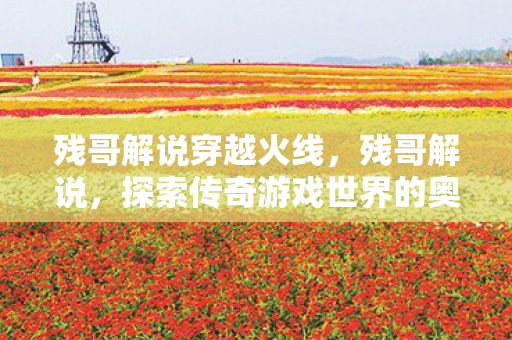 残哥解说穿越火线，残哥解说，探索传奇游戏世界的奥秘