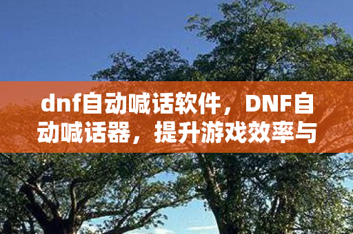 dnf自动喊话软件，DNF自动喊话器，提升游戏效率与社交互动的利器