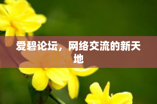 爱碧论坛，网络交流的新天地