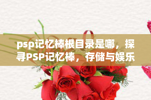 psp记忆棒根目录是哪，探寻PSP记忆棒，存储与娱乐的奇妙结合