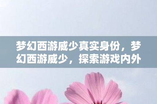 梦幻西游威少真实身份，梦幻西游威少，探索游戏内外的独特魅力