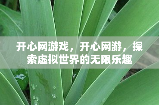 开心网游戏,开心网游,探索虚拟世界的无限乐趣 开心网游戏,开心网游,探索虚拟世界的无限乐趣