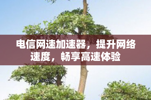 电信网速加速器,提升网络速度,畅享高速体验 电信网速加速器,提升网络速度,畅享高速体验