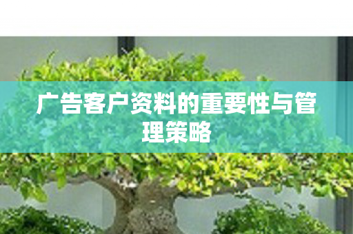 广告客户资料的重要性与管理策略