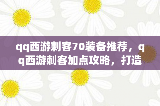 qq西游刺客70装备推荐，qq西游刺客加点攻略，打造高效战斗力的关键