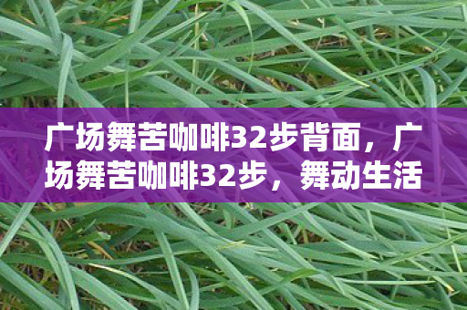 广场舞苦咖啡32步背面,广场舞苦咖啡32步,舞动生活的旋律 广场舞苦咖啡32步背面,广场舞苦咖啡32步,舞动生活的旋律